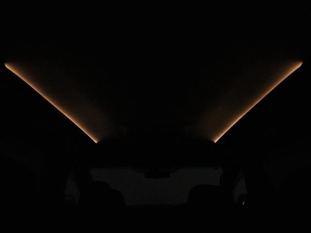 アルファード 240S タイプゴールドII (禁煙車)(ALPINE製10インチナビ)(後席モニター)(ハーフレザーシート)パワーバックドア 両側電動スライドドア クルコン バックカメラ クリアランスソナー Bluetooth ETC(17枚目)