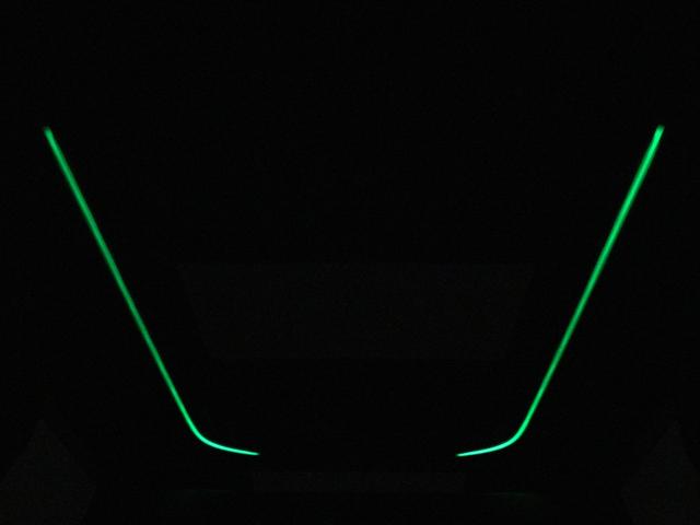 アルファード ３．５エグゼクティブラウンジ　（サンルーフ）（ＪＢＬサウンド）（モデリスタエアロ）（黒革電動エアシート）（全周囲カメラ）（リアエンター）シートメモリー＆ヒーター　ＥＴＣ　衝突軽減　レーダークルーズ　両側電動スライドドア　フルセグ（18枚目）