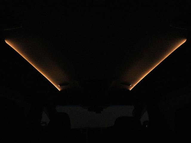 アルファード 240S タイプゴールドII (プレミアムサウンド)(モデリスタエアロカスタム)(リアエンターシステム)(特別仕様)ハーフレザー ETC パワーバックドア 両側電動スライド フルセグTV Bluetooth バックカメラ クルコン(15枚目)