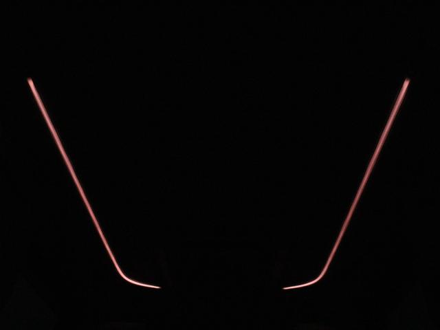 夜間に室内を照らしてくれるルームライトです