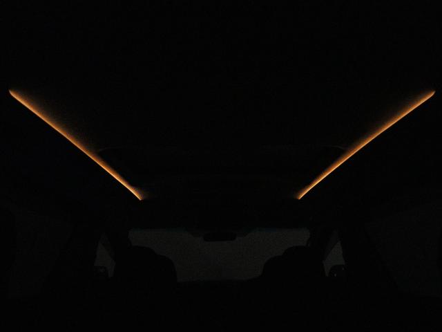 ヴェルファイア ２．４Ｚ　プラチナセレクションＩＩ　（サンルーフ）（ＡＬＰＩＮＥ製８インチナビ）（後席モニター）（社外エアロカスタム）（車高調＆２０インチアルミカスタム）（特別仕様車）パワーバックドア　両側電動スライドドア　ＥＴＣ　フルセグＴＶ　ＥＴＣ（16枚目）