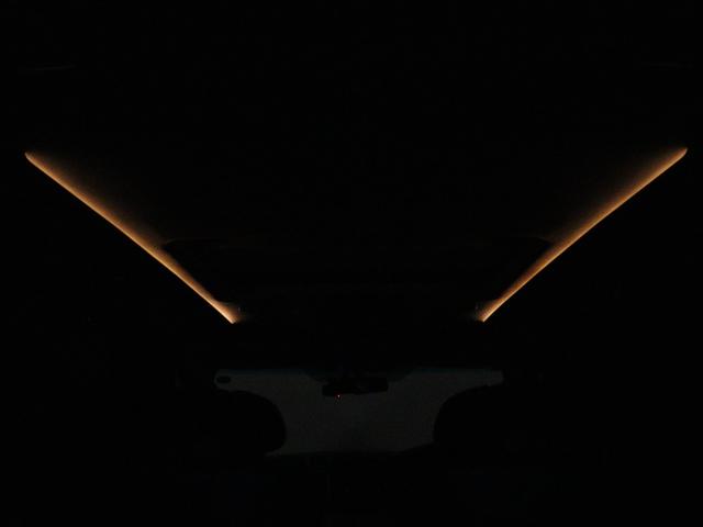 ヴェルファイアハイブリッド ZR プレミアムシートエディション (禁煙車)(サンルーフ)(プレミアムサウンド)(純正8インチナビ)(20インチアルミ&車高調)(黒革電動シート)全周囲カメラ パワーバックドア リアエンターシステム シートヒーター ETC(16枚目)