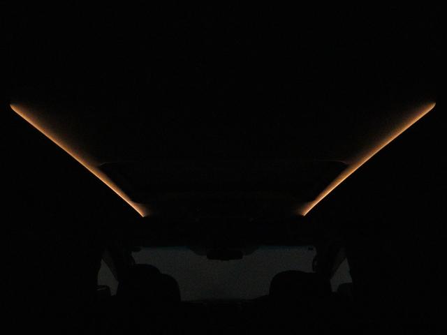 ヴェルファイア 2.4Z ゴールデンアイズII (禁煙車)(サンルーフ)(ALPINE9インチナビ)(後席モニター)(保温冷庫/システムコンソール)(特別仕様車)クルコン パワーバックドア 両側電動スライド フルセグ 社外19インチ グリルカスタム(13枚目)