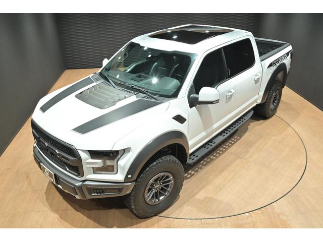 Ｆ－１５０ ラプター　ラプター（8枚目）