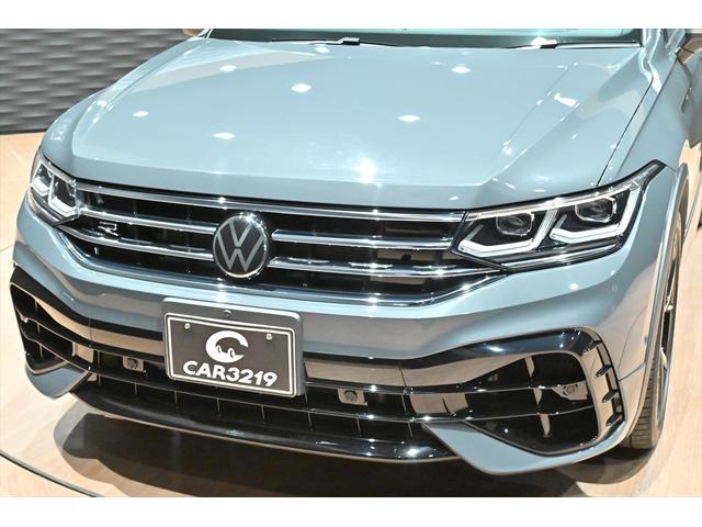 ティグアン Ｒ　専用エクステリア／クロ－ムＰＫＧ／Ｒ専用ナッパーレザーシート／ワンオ－ナ－／４ＭＯＴＩＯＮアクティブコントロール／アダプティブシャ－シコントロール／ＤＩＳＣＯＶＥＲＰＲＯ／ドルフィングレーＭ（28枚目）