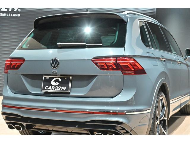 ティグアン Ｒ　専用エクステリア／クロ－ムＰＫＧ／Ｒ専用ナッパーレザーシート／ワンオ－ナ－／４ＭＯＴＩＯＮアクティブコントロール／アダプティブシャ－シコントロール／ＤＩＳＣＯＶＥＲＰＲＯ／ドルフィングレーＭ（29枚目）