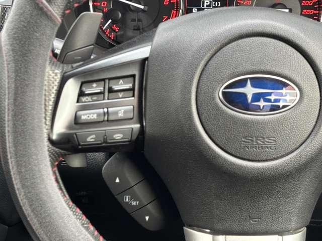 WRX S4 2.0GT-Sアイサイト 社外SDナビTV STiアンダーエアロ 大型リアスポイラー HKS車高調 Defiブーストメーター レーダークルーズ HIDヘッドライト バックカメラ ハーフレザーシート スマートキー ETC(47枚目)
