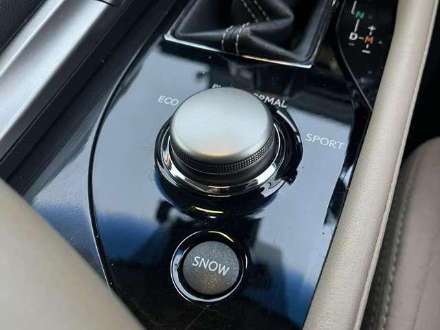 ＧＳ ＧＳ２５０　後期型・大型ナビ・ＴＶ・Ｂカメラ・三眼ＬＥＤヘッドライト＆ＬＥＤフォグライト・シートヒーター・ハンドルヒーター・パワーシート・シートメモリー・レーダークルーズコントロール・ドラレコ・ＥＴＣ・スペアキー（47枚目）