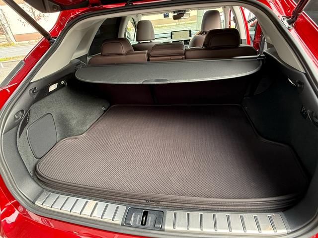 RX RX450h バージョンL パノラマルーフ 純正ナビ ステアリングヒーター シートヒーター&クーラー パノラミックビューモニター パワーバックドア ヘッドアップディスプレイ 4WD 純正スノーマット 純正エンジンスターター(28枚目)