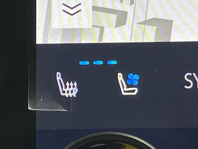 アルファードハイブリッド Ｚ　禁煙車　左右独立ムーンルーフ　１４型メーカーナビ　全周囲カメラ　両側電動スライドドア　電動リアゲート　衝突軽減装置　レーダークルーズ　レーンアシスト　クリアランスソナー　シートエアコン　ＬＥＤヘッド（66枚目）