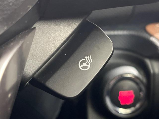 フォレスター アドバンス　４ＷＤ　サンルーフ　全周囲カメラ　衝突被害軽減システム　レーダークルーズ　禁煙車　電動リアゲート　レザーシート　全席シートヒーター　ドラレコ　コーナーセンサー　スマートキー　ＬＥＤヘッド（44枚目）