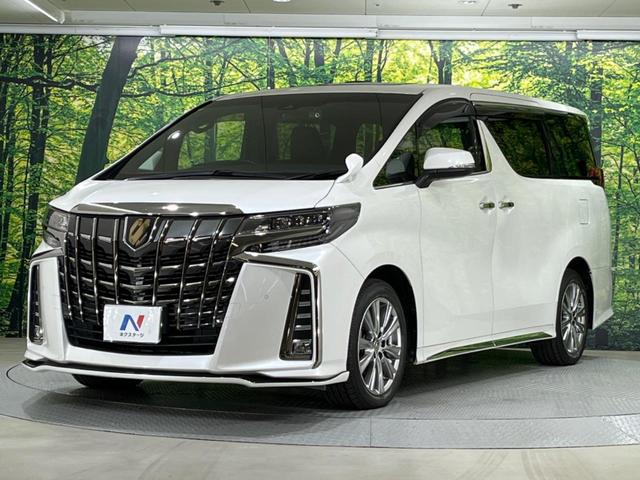 アルファード 2.5S タイプゴールド 禁煙車 サンルーフ エアロ 純正9型ディスプレイオーディオ バックカメラ 両側電動スライドドア 電動リアゲート 衝突軽減装置 レーダークルーズ レーンアシスト クリアランスソナー LEDヘッド ETC(23枚目)