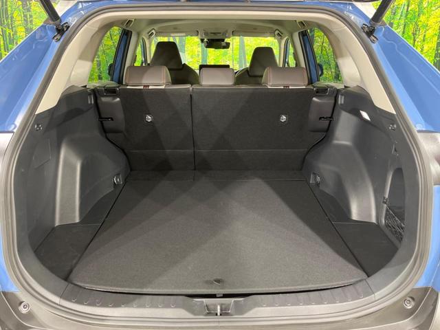 ＲＡＶ４ アドベンチャー　禁煙車　純正１０型ディスプレイオーディオ　バックカメラ　電動リアゲート　衝突軽減装置　レーダークルーズ　レーンアシスト　クリアランスソナー　ＬＥＤヘッド　オートマチックハイビーム　シートヒーター（10枚目）
