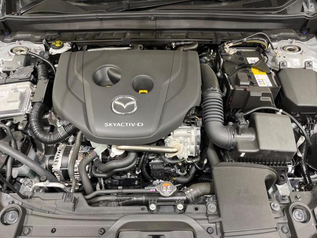 ＣＸ－３０ ＸＤ　ブラックセレクション　禁煙車　１０型ナビ　全周囲カメラ　フルセグＴＶ　Ｂｌｕｅｔｏｏｔｈ接続　パワーシート　シートヒーター　衝突被害軽減ブレーキ　レーダークルーズ　オートマチックハイビーム　ＬＥＤヘッド　クリアランスソナー（19枚目）