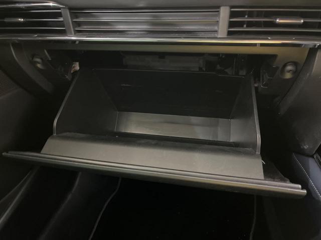 ＣＸ－３０ ２０Ｓ　プロアクティブ　禁煙車　純正ＳＤナビ　バックカメラ　衝突被害軽減システム　レーダークルーズ　電動リアゲート　ドラレコ　コーナーセンサー　スマートキー　ＬＥＤヘッド　ビルトインＥＴＣ　純正１８インチアルミ（41枚目）