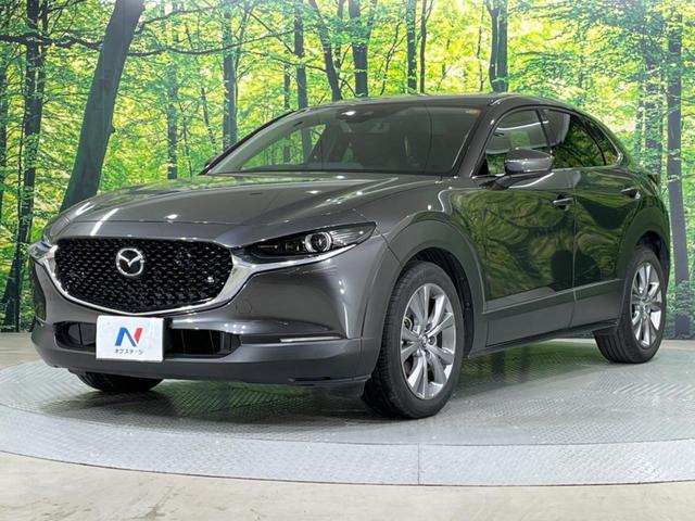 ＣＸ－３０ ２０Ｓ　プロアクティブ　禁煙車　純正ＳＤナビ　バックカメラ　衝突被害軽減システム　レーダークルーズ　電動リアゲート　ドラレコ　コーナーセンサー　スマートキー　ＬＥＤヘッド　ビルトインＥＴＣ　純正１８インチアルミ（44枚目）