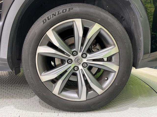 ＲＸ ＲＸ４５０ｈ　バージョンＬ　ＳＤナビ　全周囲カメラ　衝突被害軽減システム　レーダークルーズ　禁煙車　電動リアゲート　レザーシート　全席シートヒーター　前席シートエアコン　ドラレコ　コーナーセンサー　スマートキー　ＬＥＤヘッド（24枚目）