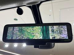 �ڥ���ƥꥸ����ȥ롼��ߥ顼�۸��ʤ��礭�ʲ�ʪ��Ʊ��ԤǸ�������ǧ���Ť餤���Ǥ�¿�������餬���Ƥ�����ξ�����α�����롼��ߥ顼���ɽ�������ꥢ�ʻ볦�Ǿ����γ�ǧ����ǽ�Ǥ��� 7