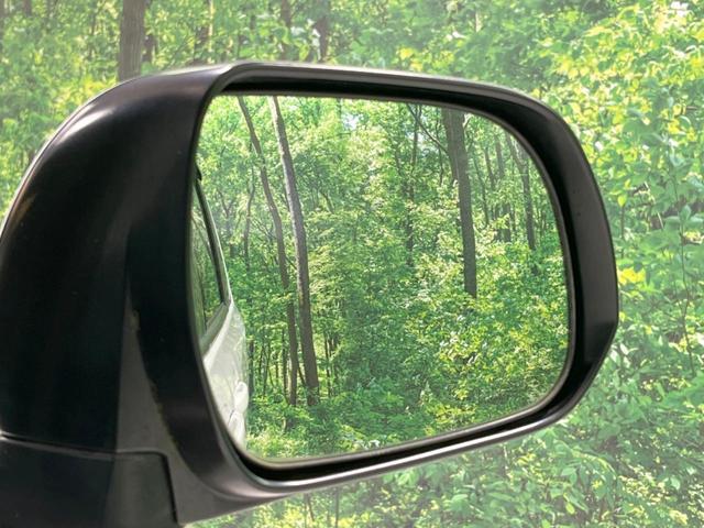 ノア X スペシャルエディション 禁煙車 純正ナビ 両側電動スライドドア バックカメラ ETC ドラレコ HIDヘッドランプ オートライト スマートキー 地デジ オートエアコン 電動格納ミラー CD再生 ドアバイザー(47枚目)