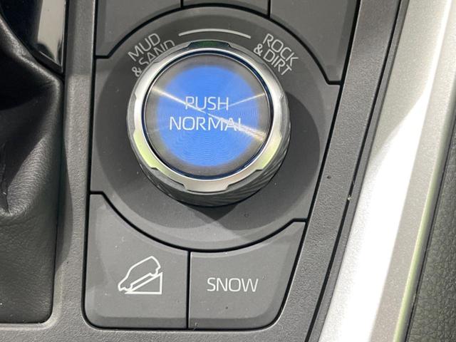 RAV4 G Zパッケージ サンルーフ 全周囲カメラ シートベンチレーション デジタルインナーミラー 電動リアゲート 衝突軽減装置 レーダークルーズ ステアリングヒーター 車線逸脱警報 スマートキー ドラレコ(54枚目)
