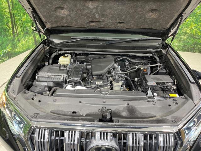 ランドクルーザープラド ＴＸ　４ＷＤ　純正ナビ　バックカメラ　衝突軽減装置　レーダークルーズ　コーナーセンサー　車線逸脱警報　ＬＥＤヘッド＆フォグ　オートハイビーム　バックカメラ　純正１７インチアルミ　ｂｌｕｅｔｏｏｔｈ　禁煙車（19枚目）