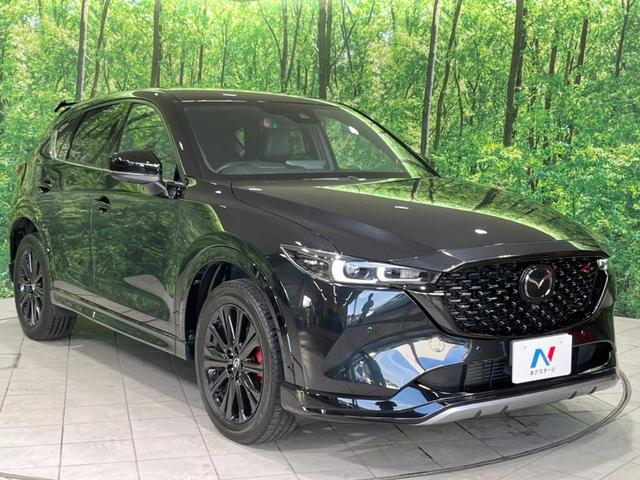 ＣＸ－５ ＸＤ　スポーツアピアランス　禁煙車　純正１０．２５型ナビ　全周囲カメラ　ＢＯＳＥサウンド　衝突軽減装置　レーダークルーズ　電動リアゲート　全席シートヒーター　コーナーセンサー　ステアリングヒーター　スマートキー（16枚目）