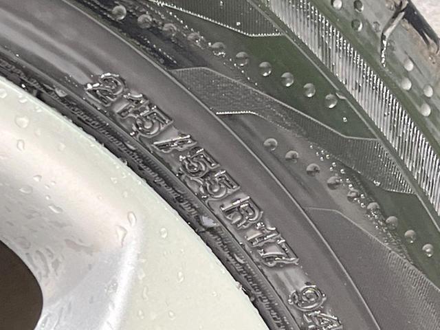 ジューク 15RX タイプV 禁煙車 純正ナビ バックカメラ HIDヘッドランプ ETC フルセグTV スマートキー 純正17インチアルミ オートライト オートエアコン 電動格納ミラー ドアバイザー CD再生(31枚目)