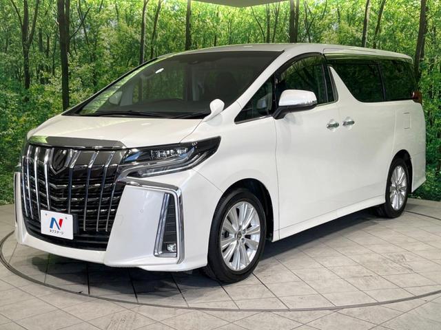 アルファード ２．５Ｓ　禁煙車　純正９型ナビ　フリップダウンモニター　両側電動ドア　衝突軽減装置　レーダークルーズ　リアオートエアコン　オートライト＆ＬＥＤヘッド　バックカメラ　スマートキー　ＥＴＣ　ドラレコ（49枚目）