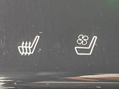 ڥȥ٥졼۲ƾäǤǮɤߤϥ᤯ޤäƥݥݥˡ鷺Ŭ˲ᤴޤ 7