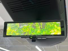 �ڥ���ƥꥸ����ȥ롼��ߥ顼�۸��ʤ��礭�ʲ�ʪ��Ʊ��ԤǸ�������ǧ���Ť餤���Ǥ�¿�������餬���Ƥ�����ξ�����α�����롼��ߥ顼���ɽ�������ꥢ�ʻ볦�Ǿ����γ�ǧ����ǽ�Ǥ��� 6