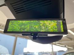 �ڥ���ƥꥸ����ȥ롼��ߥ顼�۸��ʤ��礭�ʲ�ʪ��Ʊ��ԤǸ�������ǧ���Ť餤���Ǥ�¿�������餬���Ƥ�����ξ�����α�����롼��ߥ顼���ɽ�������ꥢ�ʻ볦�Ǿ����γ�ǧ����ǽ�Ǥ��� 7