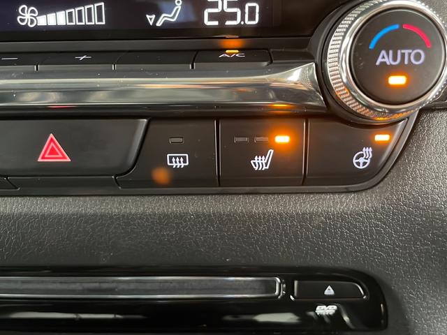 CX-30 20S プロアクティブ ツーリングセレクション(14枚目)