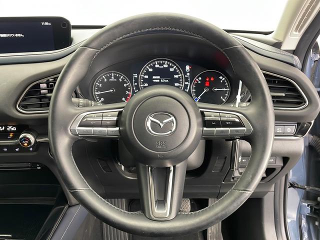 CX-30 20S プロアクティブ ツーリングセレクション(17枚目)