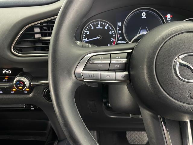 CX-30 20S プロアクティブ ツーリングセレクション(18枚目)