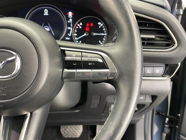 CX-30 20S プロアクティブ ツーリングセレクション(19枚目)