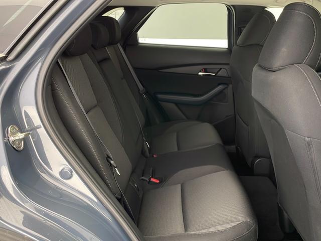 CX-30 20S プロアクティブ ツーリングセレクション(35枚目)