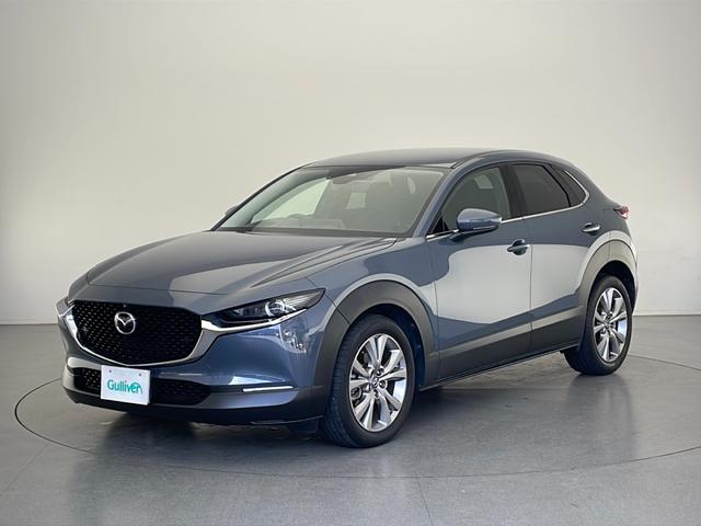 CX-30 20S プロアクティブ ツーリングセレクション(42枚目)