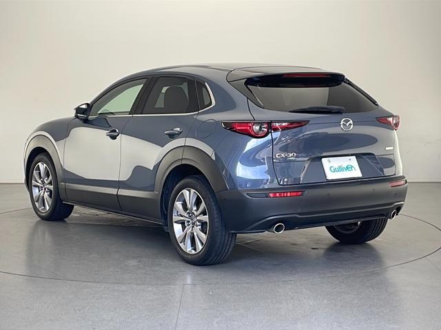 CX-30 20S プロアクティブ ツーリングセレクション(44枚目)