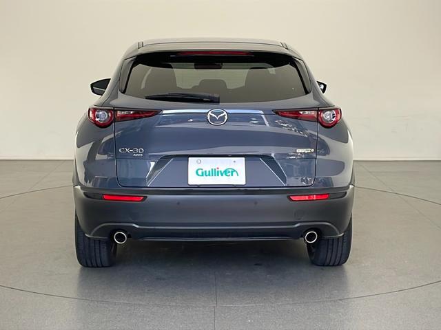 CX-30 20S プロアクティブ ツーリングセレクション(45枚目)