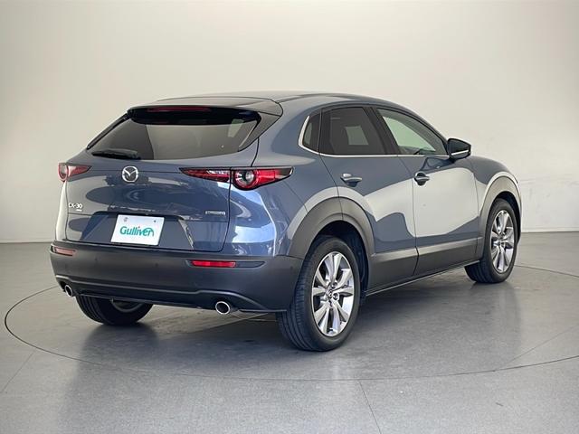 CX-30 20S プロアクティブ ツーリングセレクション(46枚目)