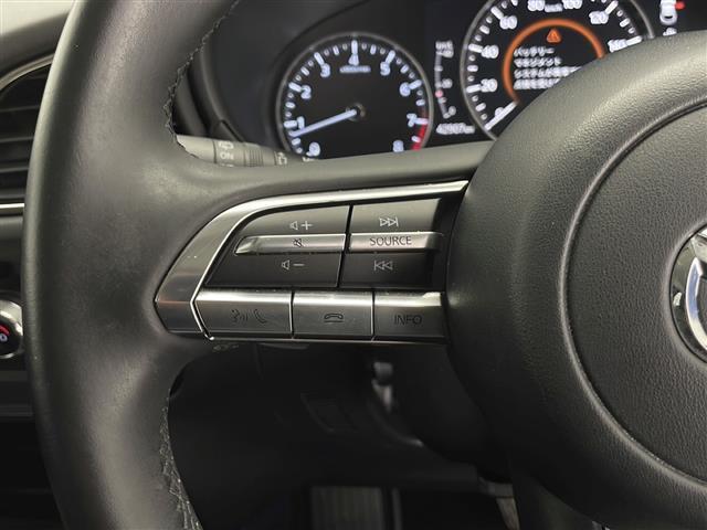 CX-30 20S プロアクティブ 純正SDナビ FM AM Bluetooth USB DVD メモリーオーディオ フルセグTV HDMI i-ACTIVSENSE 電動リアゲート 電子パーキングブレーキ オートホールド ETC(16枚目)