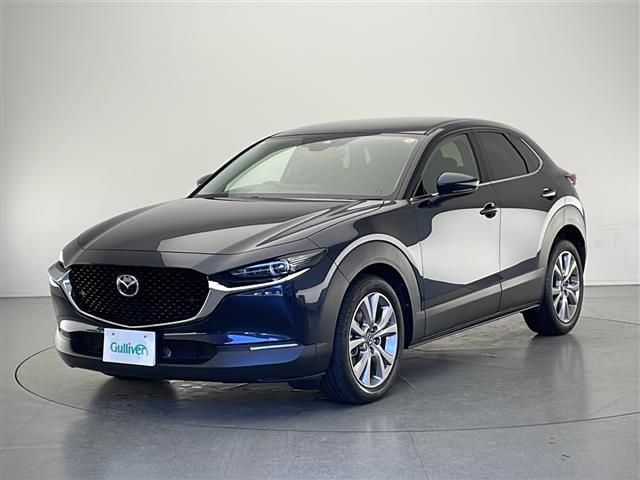 CX-30 20S プロアクティブ 純正SDナビ FM AM Bluetooth USB DVD メモリーオーディオ フルセグTV HDMI i-ACTIVSENSE 電動リアゲート 電子パーキングブレーキ オートホールド ETC(37枚目)