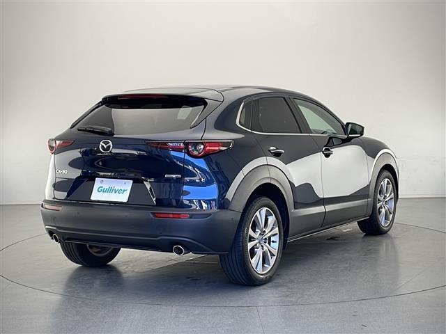 CX-30 20S プロアクティブ 純正SDナビ FM AM Bluetooth USB DVD メモリーオーディオ フルセグTV HDMI i-ACTIVSENSE 電動リアゲート 電子パーキングブレーキ オートホールド ETC(41枚目)