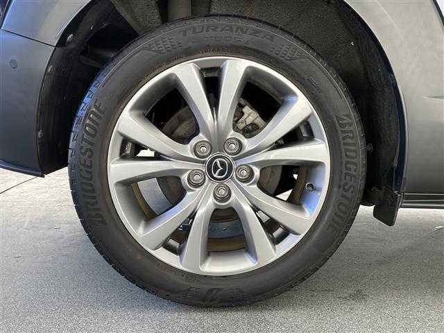 CX-30 20S プロアクティブ 純正SDナビ FM AM Bluetooth USB DVD メモリーオーディオ フルセグTV HDMI i-ACTIVSENSE 電動リアゲート 電子パーキングブレーキ オートホールド ETC(48枚目)