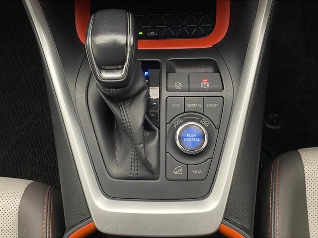 ＲＡＶ４ アドベンチャー（26枚目）