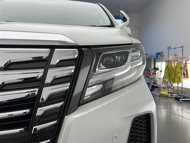 アルファード 2.5S Aパッケージ 純正SDナビ Bカメラ 純正ETC クルーズコントロール TVキャンセラー 両側パワースライド フロントデアイサー 電子パーキング オートホールド 純正18インチAW 4WD(46枚目)