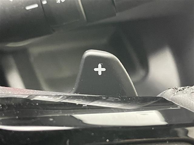 ステップワゴン ｅ：ＨＥＶスパーダ　プレミアムライン　純正１１．４型ナビ　純正後席モニター　ホンダセンシング　全方位カメラ　両側パワスラ　ＨＤＭＩ　パドルシフト　ＢＳＭ　シートヒーター　ＬＥＤオートライト　追従クルコン　フルセグ　ＥＴＣ　純正ドラレコ（30枚目）