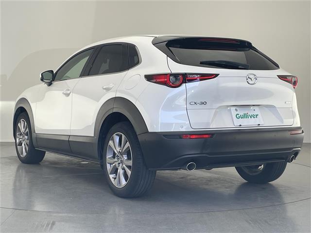 ＣＸ－３０ ２０Ｓ　Ｌパッケージ　純正１０．２５型ナビ　ＢＯＳＥ　全方位　禁煙車　ＨＵＤ　ＢＳＭ　黒革　ＨＤＭＩ　追従クルコン　フルセグＴＶ　ＤＶＤ　シートヒーター　パワーシート　パワーバックドア　ＬＥＤオートライト　ＥＴＣ　ドラレコ（17枚目）