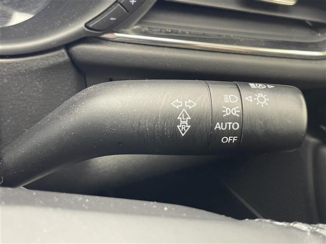 ＣＸ－３０ ２０Ｓ　Ｌパッケージ　純正１０．２５型ナビ　ＢＯＳＥ　全方位　禁煙車　ＨＵＤ　ＢＳＭ　黒革　ＨＤＭＩ　追従クルコン　フルセグＴＶ　ＤＶＤ　シートヒーター　パワーシート　パワーバックドア　ＬＥＤオートライト　ＥＴＣ　ドラレコ（32枚目）