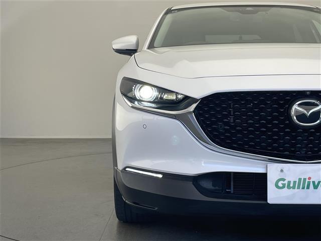 ＣＸ－３０ ２０Ｓ　Ｌパッケージ　純正１０．２５型ナビ　ＢＯＳＥ　全方位　禁煙車　ＨＵＤ　ＢＳＭ　黒革　ＨＤＭＩ　追従クルコン　フルセグＴＶ　ＤＶＤ　シートヒーター　パワーシート　パワーバックドア　ＬＥＤオートライト　ＥＴＣ　ドラレコ（35枚目）